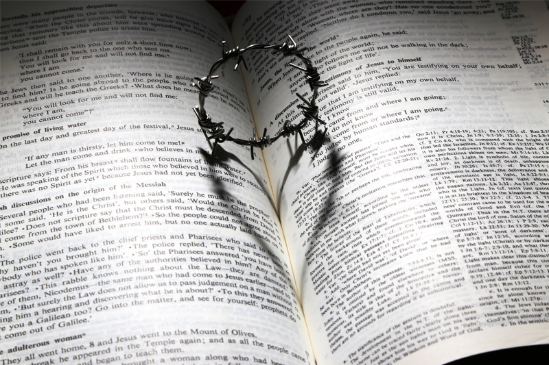 amor biblia